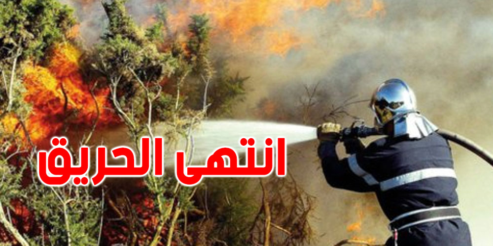 جندوبة: السيطرة نهائيّا على الحرائق