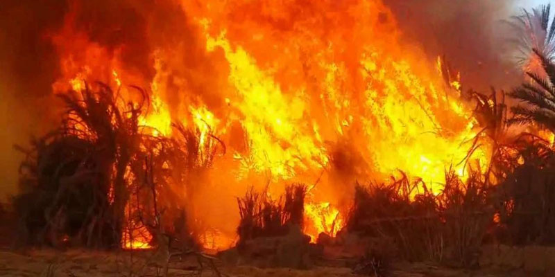 جبل الناظور: حريق يأتي على 30 هكتارا من الغابات