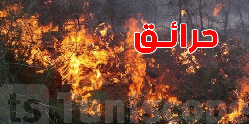شنوّة صاير في غابات تونس؟ 101 حريقة في شهر ونص