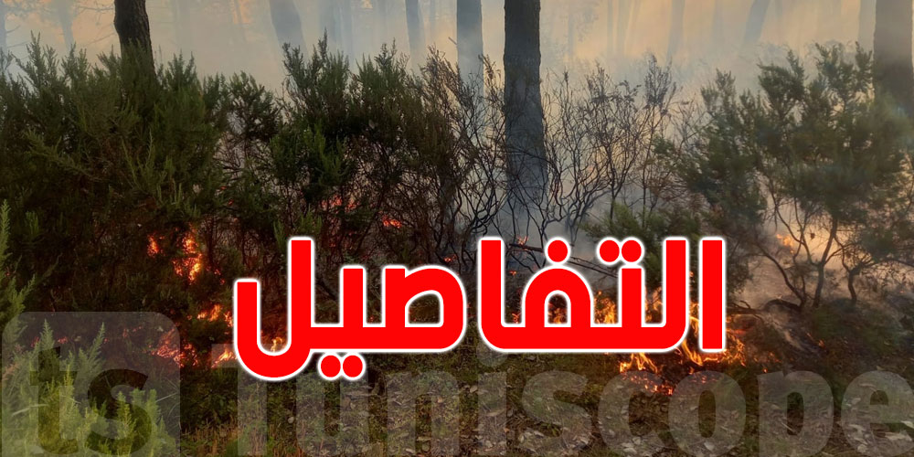 سليانة: السيطرة على حريق جبل برقو