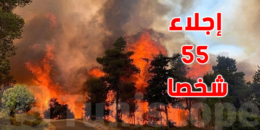 القيروان: اندلاع حريق بالوسلاتية وتعذّر وصول شاحنات الإطفاء لهذا السبب