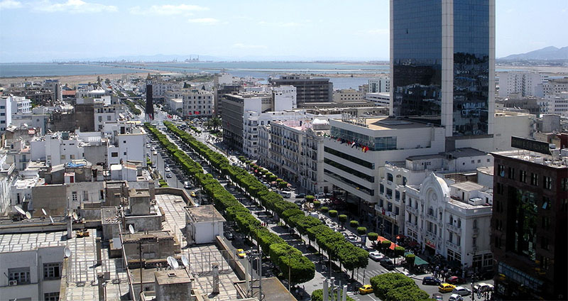 تحجير جولان العربات بشارع الحبيب بورقيبة في جزئه الممتدّ بين ساحة 14 جانفي وساحة الاستقلال