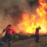 Un incendie à Djebal Bouhedma dévore une dizaine d’hectares d’Alfa 