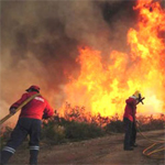 Un incendie à Djebal Bouhedma dévore une dizaine d’hectares d’Alfa