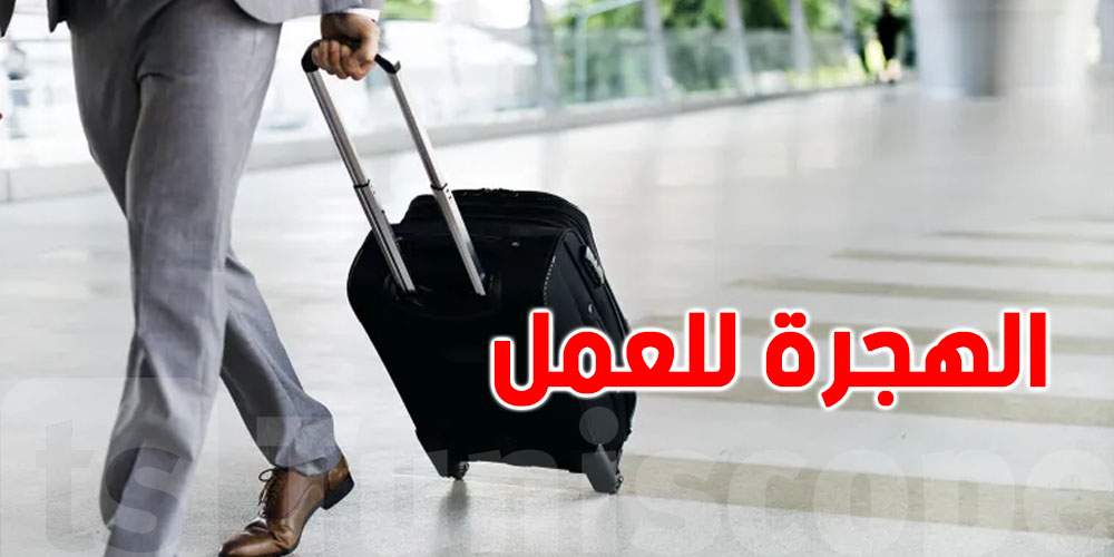 فرص عمل في أوروبا تخصّ الفلاحة، السياحة، الصناعة...اعرف كيفاش تهاجر بطريقة قانونية