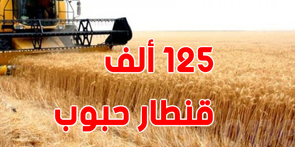  تونس : حصاد أكثر من 47% من المساحات المزروعة في منوبة 