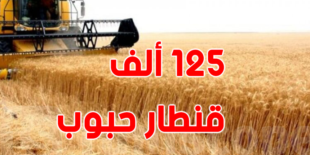 تونس : حصاد أكثر من 47% من المساحات المزروعة في منوبة