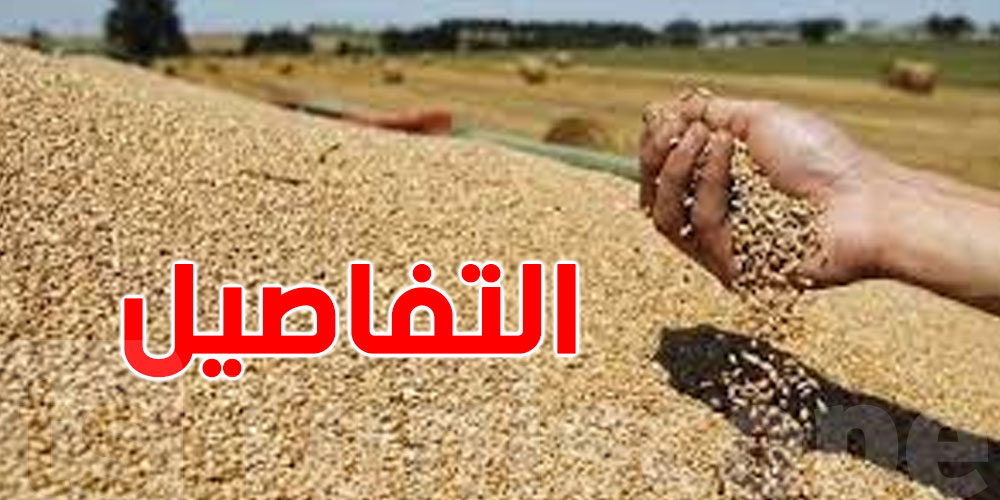 سيدي بوزيد: تضرّر مساحات هامّة من الحبوب