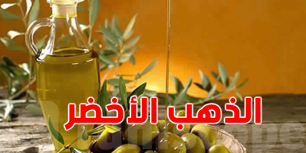 الذهب الأخضر يكتسح 14 دولة ويحصد التتويج!
