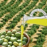 Deux huiles d’olive tunisiennes se distinguent au niveau international