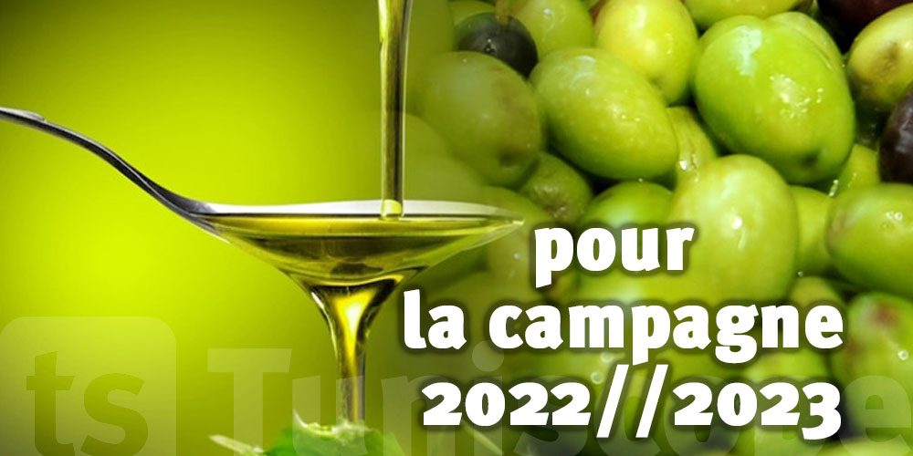 La production d’huile d’olive en baisse de 25% en Tunisie
