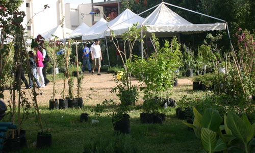 i-festivalrose-180509-4.jpg
