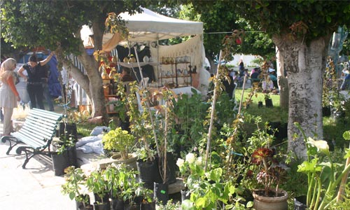 i-festivalrose-180509-6.jpg