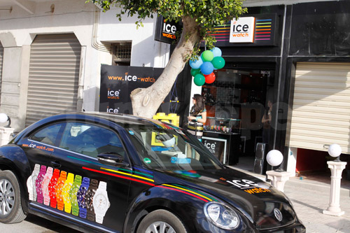 ice-250412-6.jpg