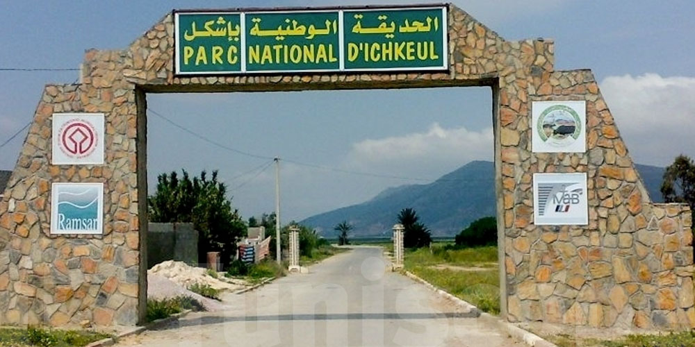 Lac Ichkeul : renaissance écologique après plus de 12 ans de déclin