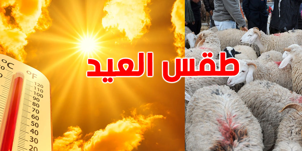 موجة حرّ مرتقبة في تونس خلال عطلة عيد الأضحى...التفاصيل 