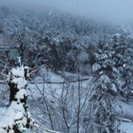 il neige … il neige !