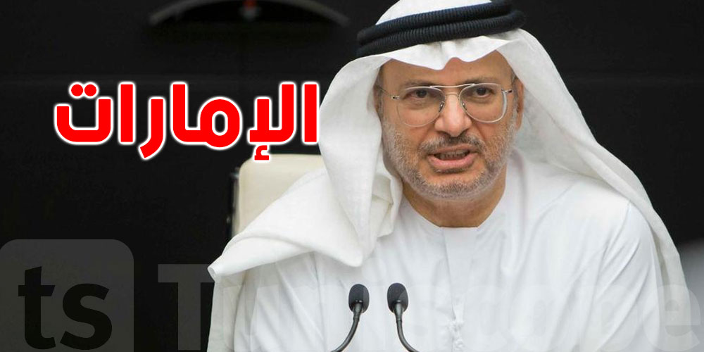 مستشار رئيس الإمارات يُعلّق على الأحداث الأخيرة في تونس