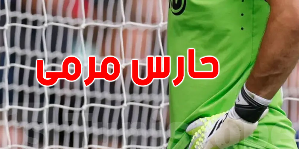 عاجل : بينهم عربي ....أفضل 10 حراس مرمى فى العالم