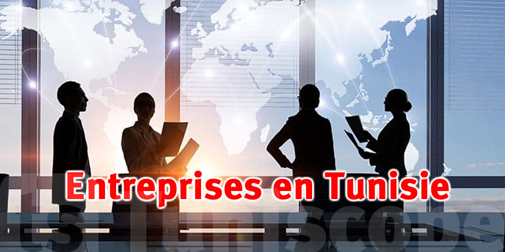  En Tunisie, seules 103 000 entreprises sur 800 000 paient réellement des impôts 