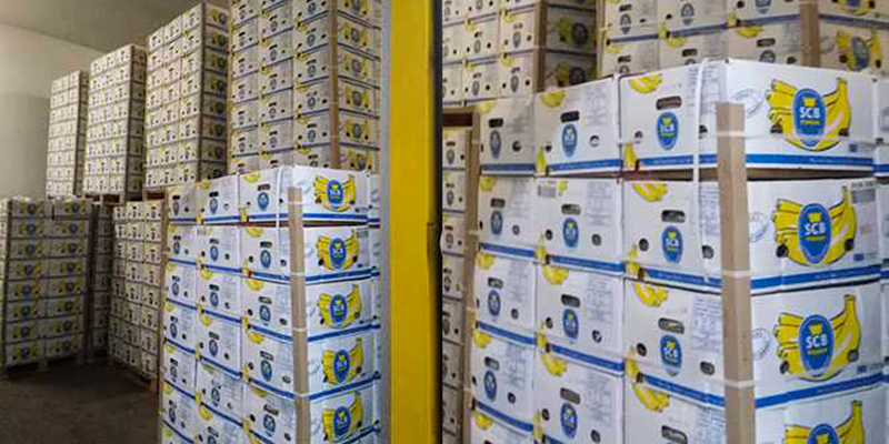364,8 MD de déficit de la balance commerciale alimentaire en avril 2019