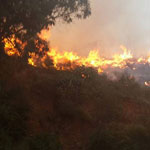 Zaghouan : Incendie à Jebel Ameur 