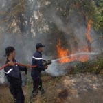 La forêt de Aïn Drahem ravagée par un incendie
