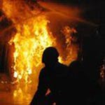 15 incendies dans la forêt du gouvernorat de Jendouba