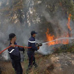 Plusieurs incendies maîtrisés dans le gouvernorat de Béja