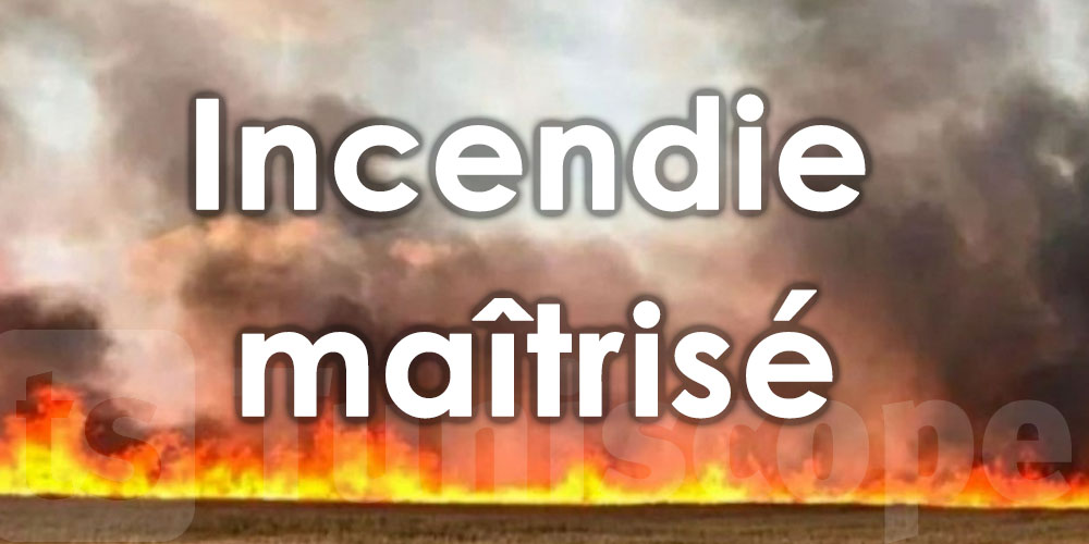 Incendie maîtrisé à Jebel Nadhour