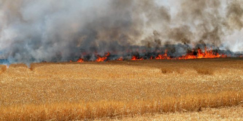 L’enquête de la protection civile dévoile des facteurs humains derrière les incendies des champs de céréales