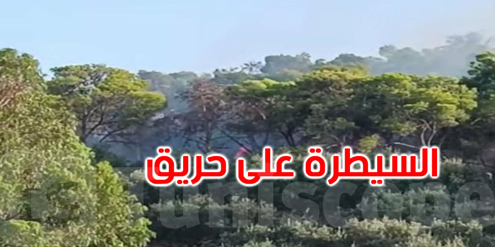 عاجل: أريانة: السيطرة على حريق بجبل الشرف بجعفر