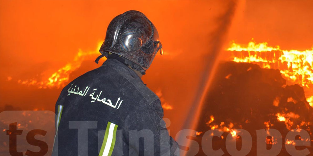 83 incendies maîtrisés en une journée