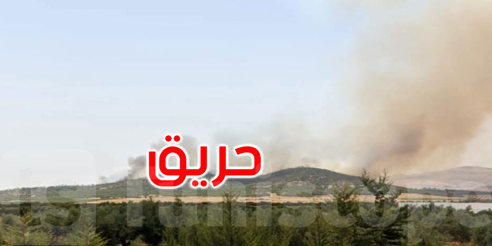 حريق جبل الهري بالكاف: تواصل الجهود للسيطرة على النيران