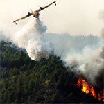 Bilan des flammes : 71 incendies et 312 mille hectares ravagés entre mai et juillet