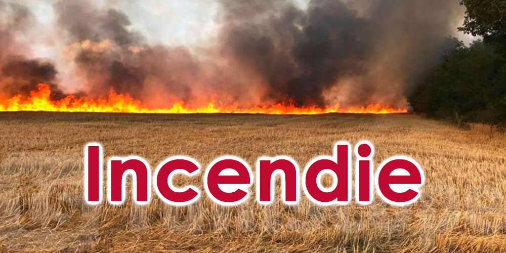 Un incendie ravage 7 hectares de blé 