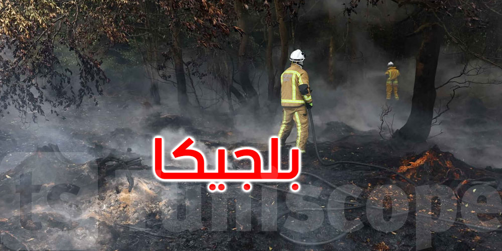 بلجيكا: أمطار مفاجئة تبطئ أكبر حريق غابات في تاريخ البلاد