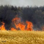 20 hectares de blé ravagés par un incendie 