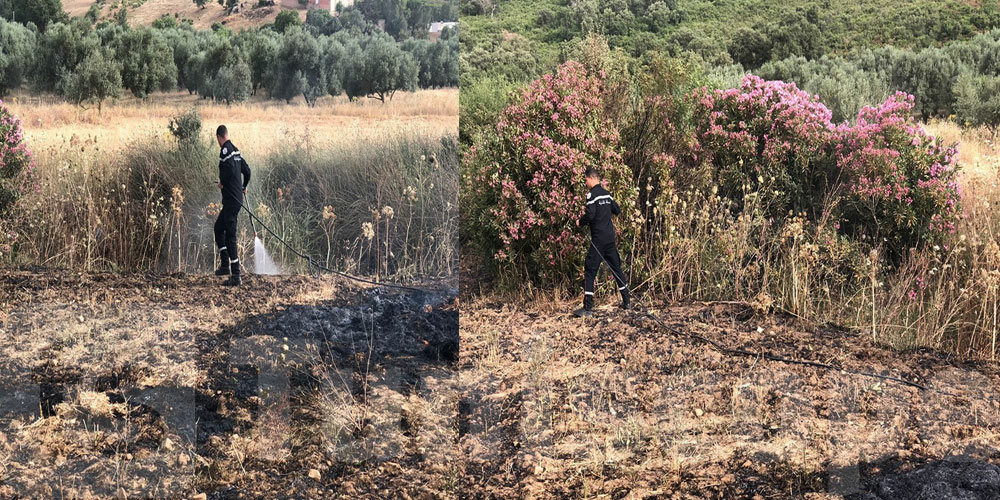 جندوبة: السيطرة على حريق بآلة حصاد و300 م مربع من الحصيدة