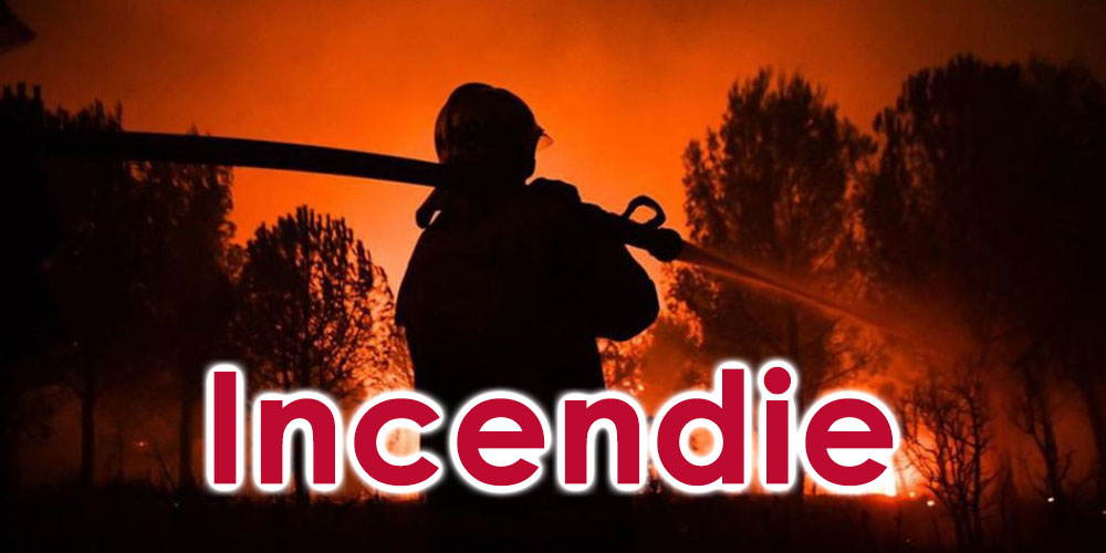 Arrivée en Tunisie de 30 camions de pompiers venus de l’Algérie 