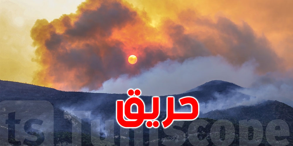 جندوبة: تجدّد اشتعال النيران بجبل البياضة بطبرقة