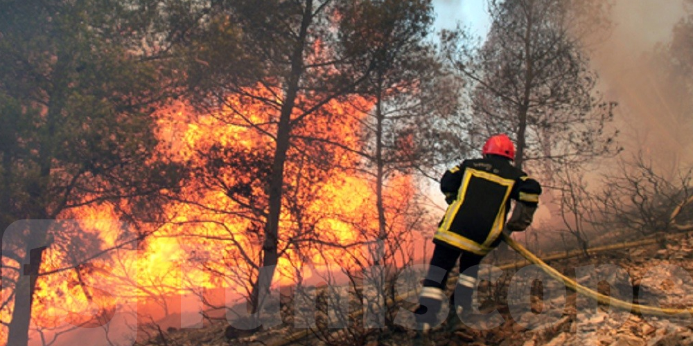 Tunisie : Un incendie géant à…