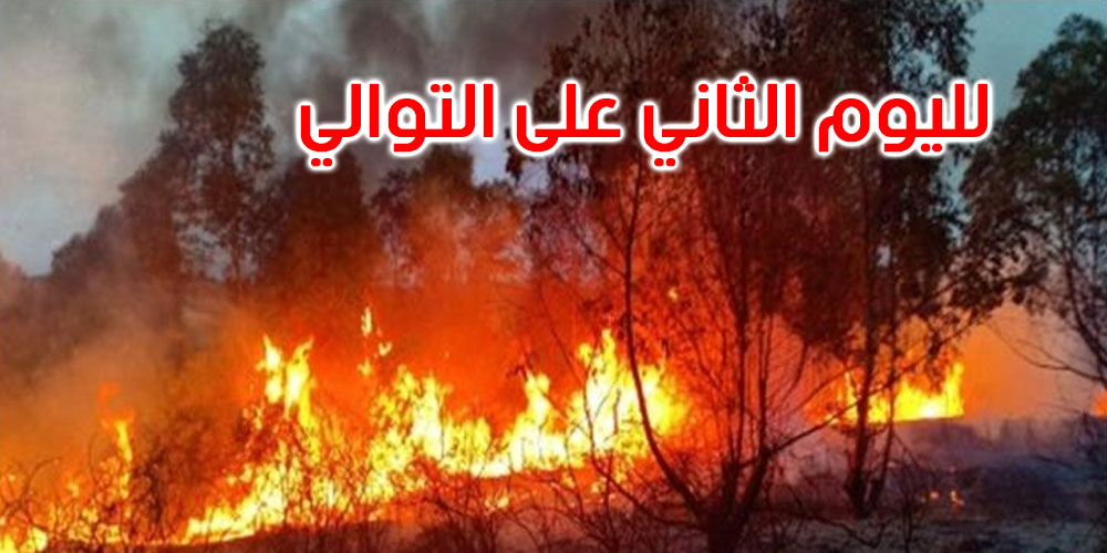 القصرين: تواصل حريق جبل تيوشة بالمنطقة العسكرية العازلة