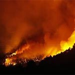 Gigantesque incendie à Jebel Chambi