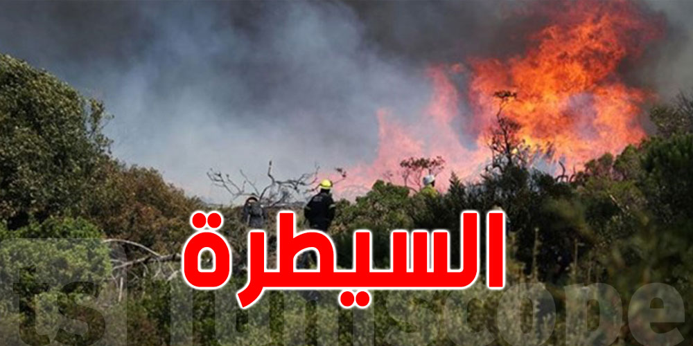 تونس : السيطرة نهائيا على حريق جبل برقو