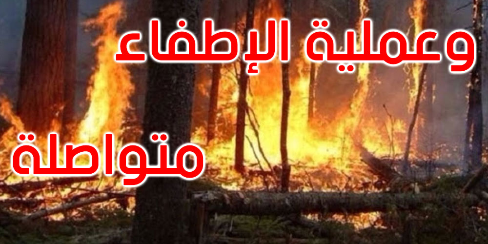 بنزرت: نشوب حريق في جبل الناظور بغار الملح
