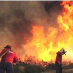  Kairouan : Un incendie ravage un champ de blé 