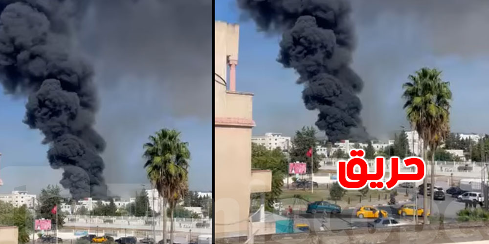 عاجل: حريق كبير في مصنع بالمنطقة الصناعية بقصر سعيد.. التفاصيل