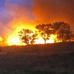 Etats-Unis: 19 pompiers tués dans un incendie en Arizona