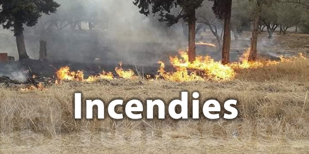 La plupart des incendies forestiers survenus récemment sont d'origine humaine